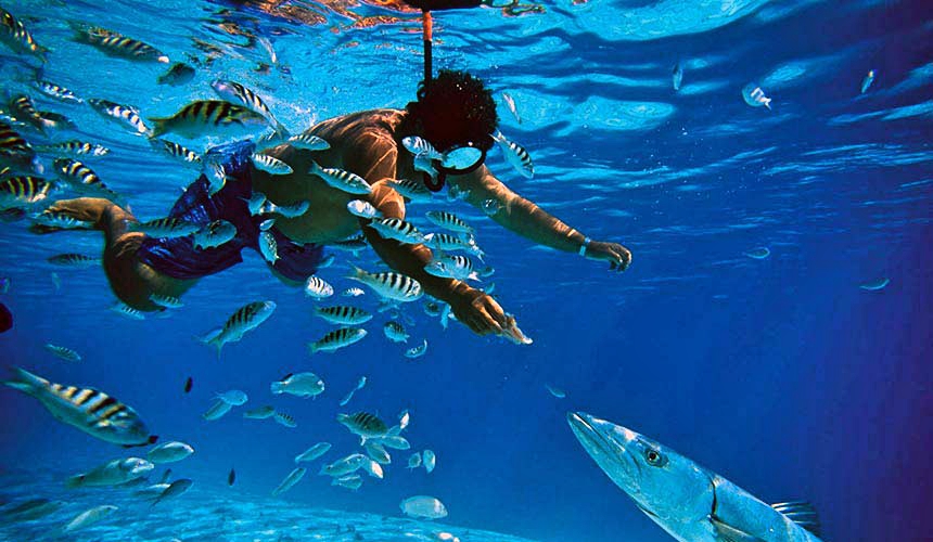 Book Candolim Beach Water Sports And Activities tickets, Candolim